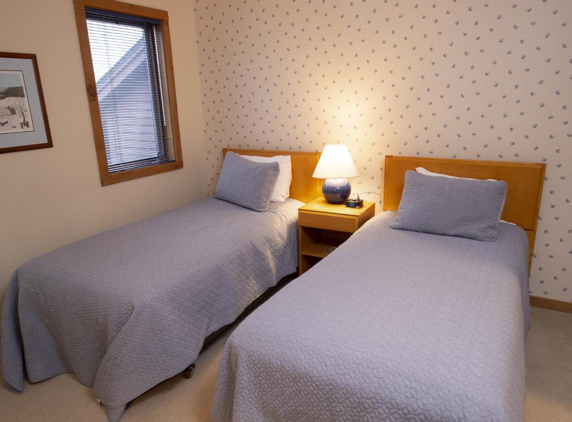 Okemo Mountain Lodging Ludlow Zewnętrze zdjęcie